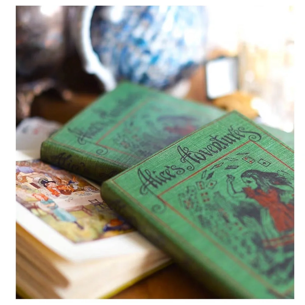 Ebook reader cover - looks like a real book! By Klevercase.